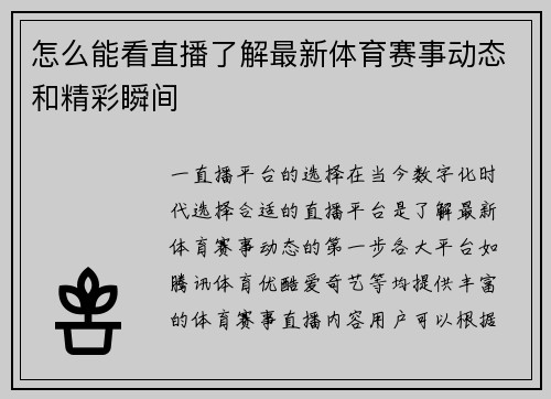 怎么能看直播了解最新体育赛事动态和精彩瞬间