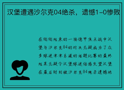 汉堡遭遇沙尔克04绝杀，遗憾1-0惨败